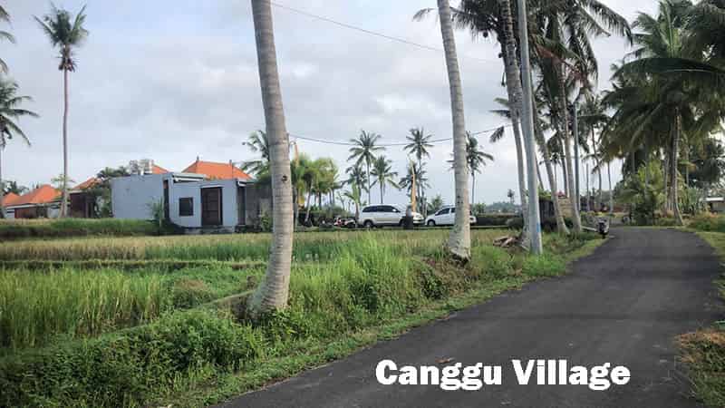 Providing well maintenanced Canggu car rental available in manual and automatic